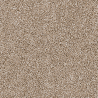 Dreamweaver Carpet Cedar Creek Sawgrass DREAMWEAVER