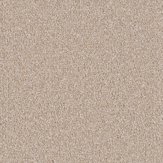 Dreamweaver Carpet East Hampton Sawgrass DREAMWEAVER