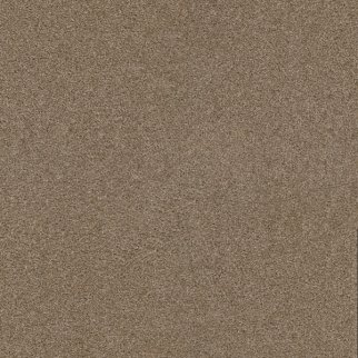 Dreamweaver Carpet Exceptional II Sawgrass DREAMWEAVER