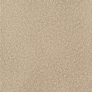 Dreamweaver Carpet Montauk Sawgrass DREAMWEAVER