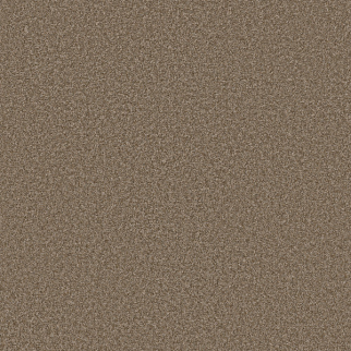 Shaw Floors Affirmation I Spanish Brown SHAW