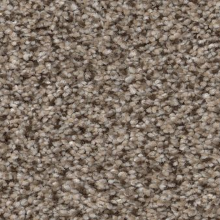 Shaw Floors Truspirit II Truffle SHAW