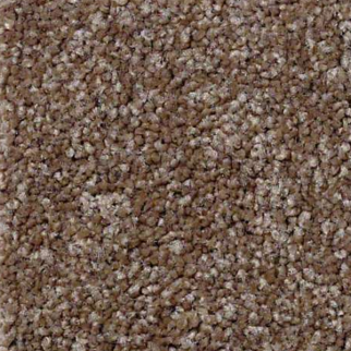 Shaw Floors Something Sweet Brush Suede SHAW