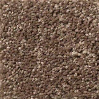 Shaw Floors Full Court 12 Cattail SHAW