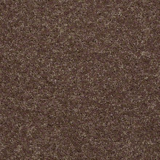 Shaw Floors All Star Weekend I 15' Cattail SHAW