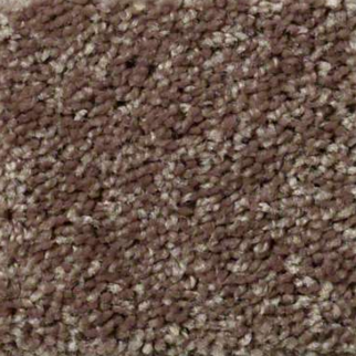 Shaw Floors Full Court 15 Cattail SHAW