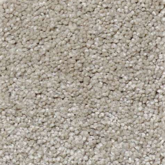 Shaw Floors What's Up Coastal Fog SHAW