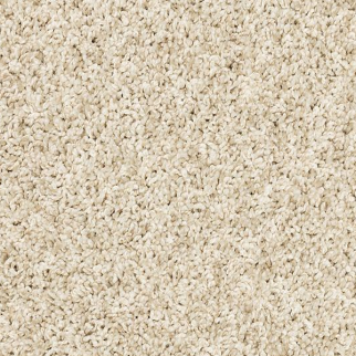 Mohawk Carpet Raise The Woof I Frosted Almond Mohawk