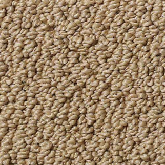 Shaw Floors Traditional Elegance Granola SHAW