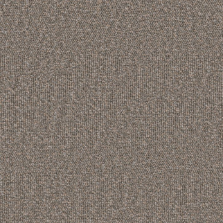 Philadelphia Commercial Avenue Kennedy Shaw