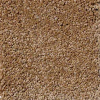 Shaw Floors Ultimate Expression 15' Peanut Brittle SHAW