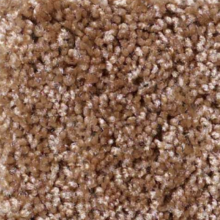 Shaw Floors One Over All Sierra Hills SHAW