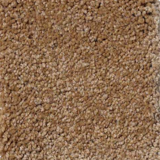 Shaw Floors Magic At Last III 15' Toast SHAW