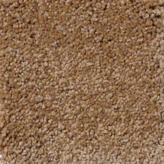 Shaw Floors Magic At Last IV 12' Toast SHAW