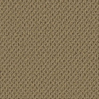 Tuftex Gracious Warmth SHAW