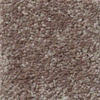 Shaw Floors Well Played I 15 Briar Patch SHAW