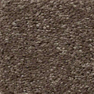 Shaw Floors Well Played II 15 Briar Patch SHAW