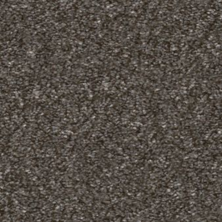 Shaw Floors Without Limits I Derby SHAW