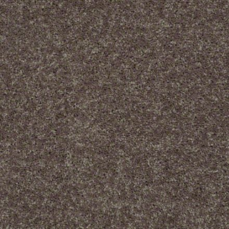 Shaw Floors All Star Weekend I 15' Driftwood SHAW