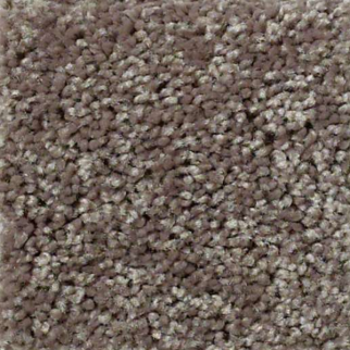 Shaw Floors Full Court 15 Driftwood SHAW