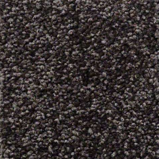 Shaw Floors Something Sweet Mahogany SHAW