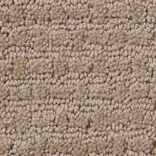 Shaw Floors Ray Of Light Mushroom SHAW