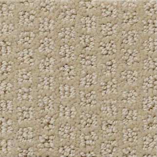 Shaw Floors Pacific Trails Mushroom SHAW