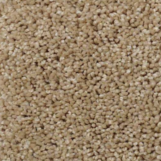 Shaw Floors Origins Mushroom SHAW