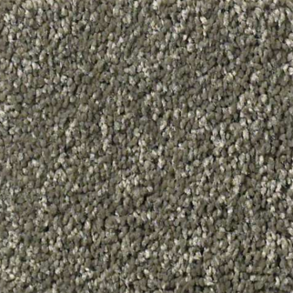 Shaw Floors Basic Rules Portobello SHAW