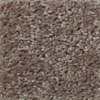 Shaw Floors Fielders Choice 15 Shale SHAW