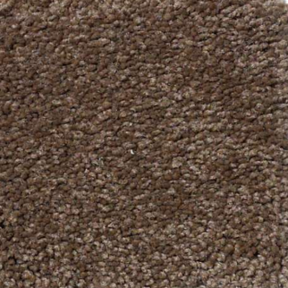 Shaw Floors Magic At Last III 15' Tree Moss SHAW