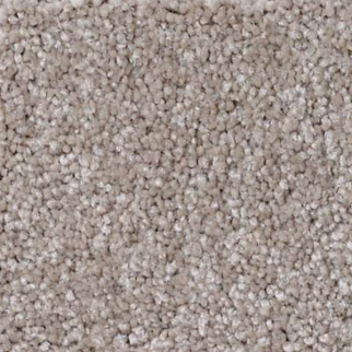 Shaw Floors That's Right Ashen SHAW