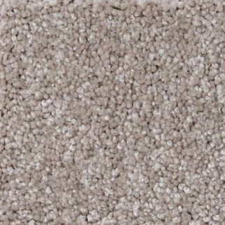 Shaw Floors What's Up Ashen SHAW