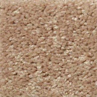 Shaw Floors Fielders Choice 12 Eagles Nest SHAW