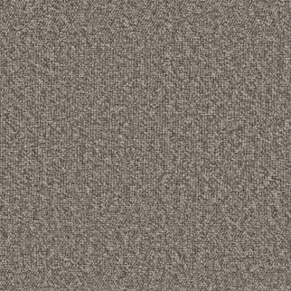 Philadelphia Commercial Avenue Johnson Shaw