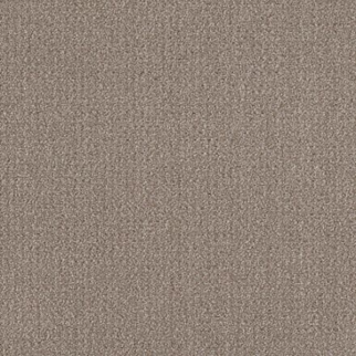 Shaw Floors Translate Simply Tan SHAW