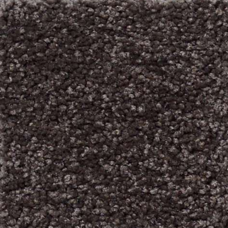 Shaw Floors What's Up Cabo Trail SHAW