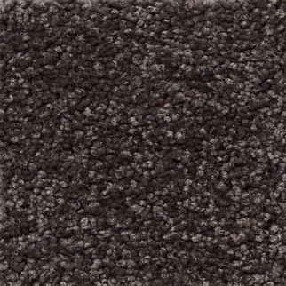 Shaw Floors That's Right Cabot Trail SHAW