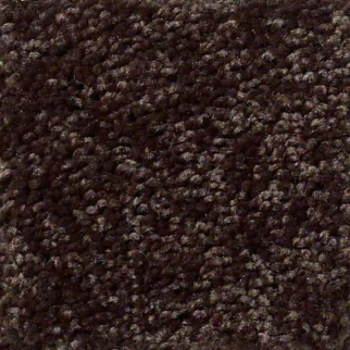 Shaw Floors Full Court 12 Coffee Bean SHAW