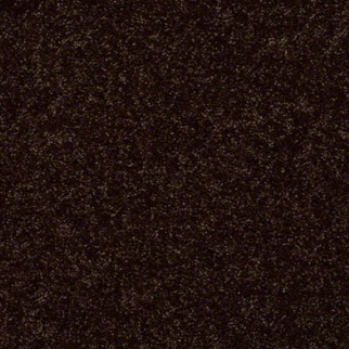 Shaw Floors All Star Weekend II 12' Coffee Bean SHAW