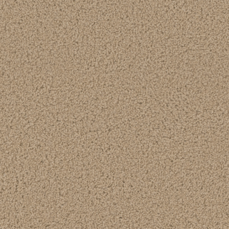 Dreamweaver Carpet Broadcast Plus Cookie Dough DREAMWEAVER