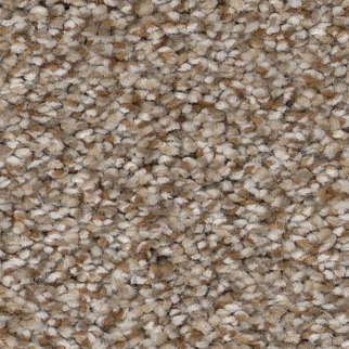 Shaw Floors Truspirit II Cottage SHAW