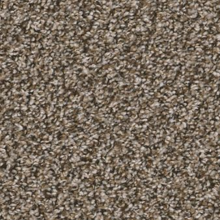 Shaw Floors Soft Radiance Mocha Latte SHAW