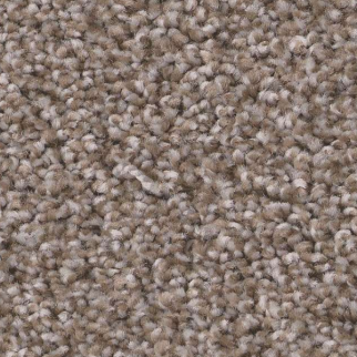 Shaw Floors Trusolutions I Taupe Dream SHAW