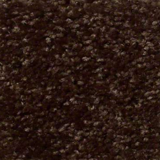 Shaw Floors Fielders Choice 12 Walnut SHAW