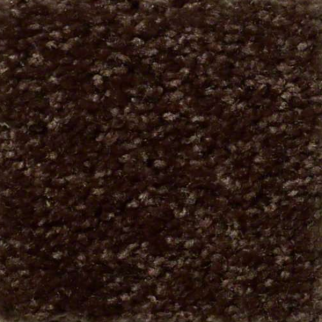 Shaw Floors Fielders Choice 15 Walnut SHAW