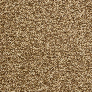 Dixie Home Color Festival High Point