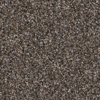 Shaw Floors Yes You Can I 12' Cafe Noir SHAW