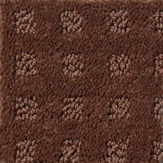 Shaw Floors Nottingham Mocha Chip SHAW