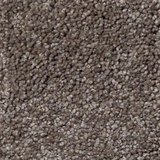 Shaw Floors What's Up Rustic Taupe SHAW